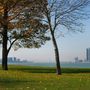 Windsor
