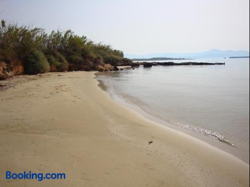 Blue & Sea Studios - Drios - Beach