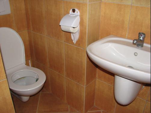 Hotel Liberecka Bouda - Dolní Dvůr - Bathroom
