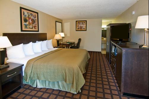 Quality Inn Daytona Speedway I-95 - Daytona Beach - Bedroom