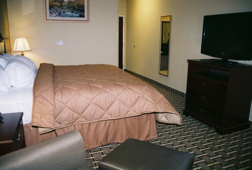 Comfort Inn - Olathe - King bedroom