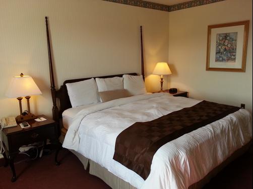 Natural Bridge Hotel and Conference Center - Natural Bridge - King bedroom