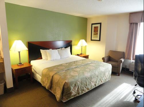 Sleep Inn Northlake - Charlotte - King bedroom