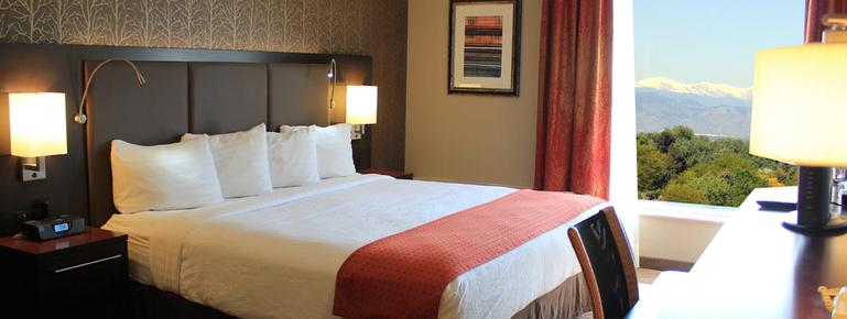 Holiday Inn Denver-Cherry Creek - Denver - Bedroom