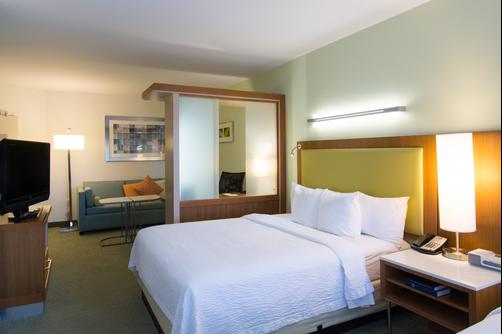 SpringHill Suites by Marriott Columbia Downtown The Vista - Columbia - King bedroom
