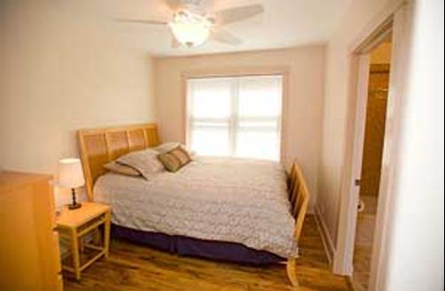 Ray's Bucktown Bed and Breakfast - Chicago - Bed