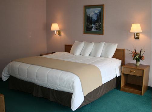 Allington Inn and Suites - South Fork - King bedroom