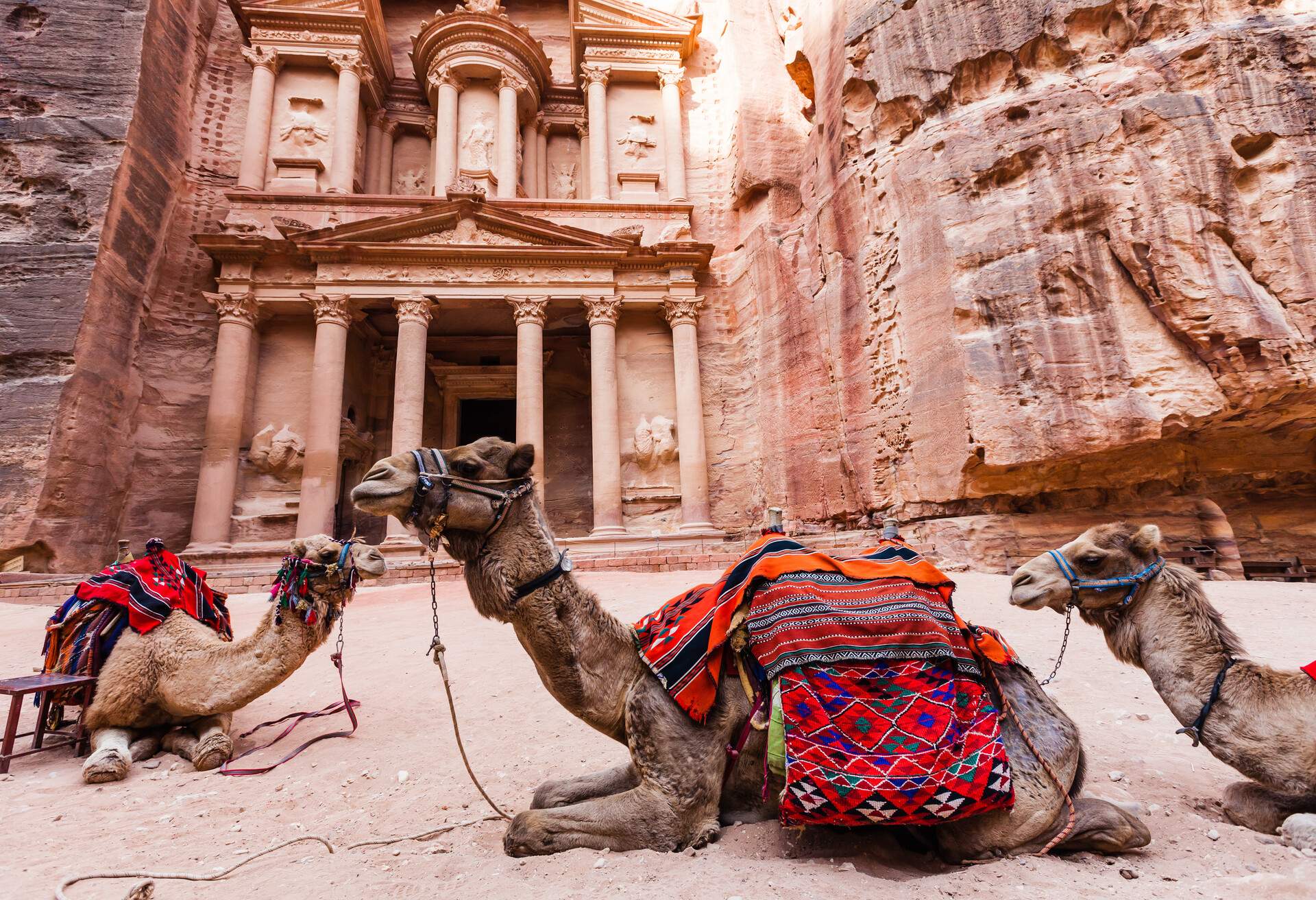 Camels resting in Petra archeological site, Jordan
