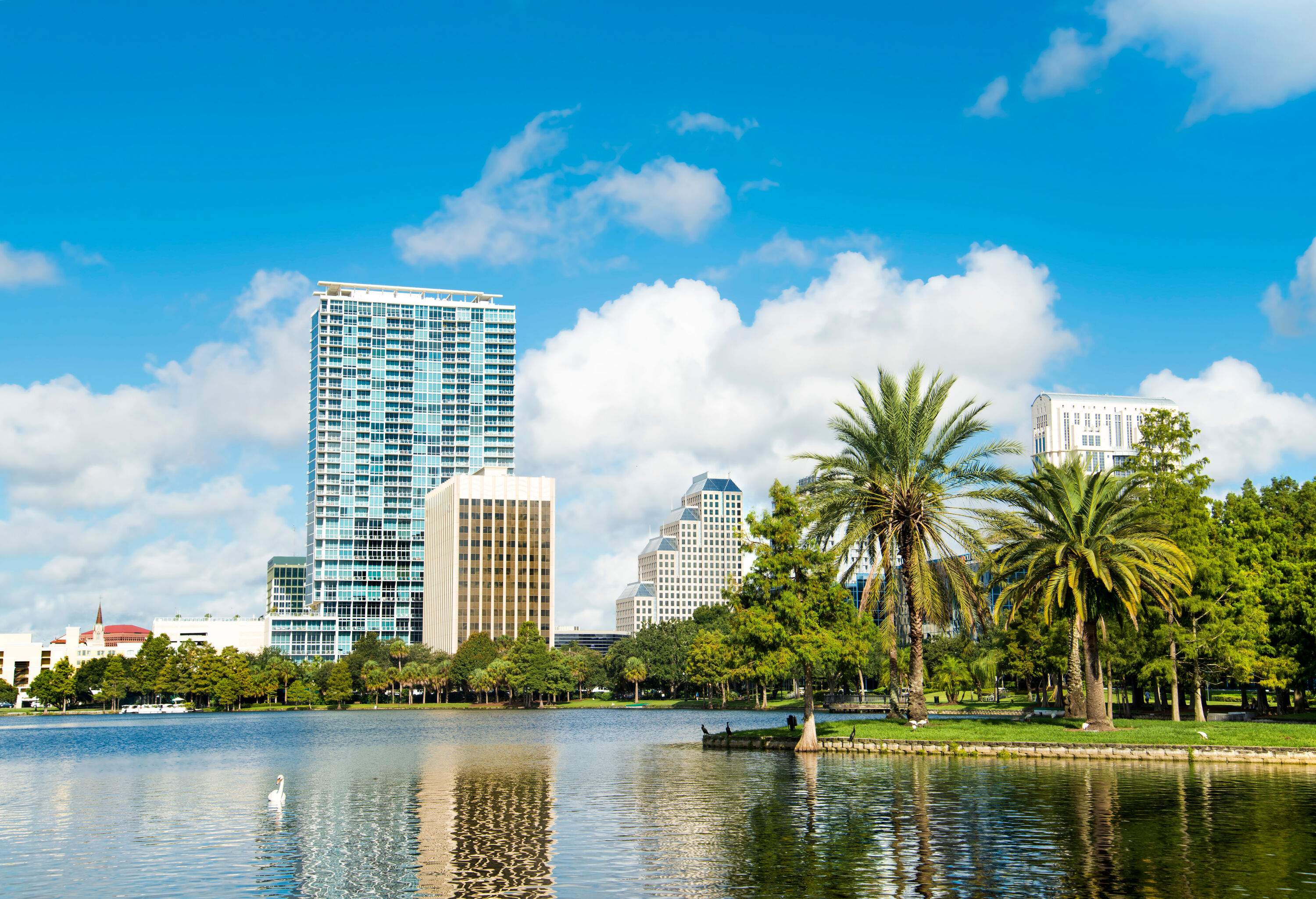 A park with lush vegetation and a pond that reflects the city skyline.