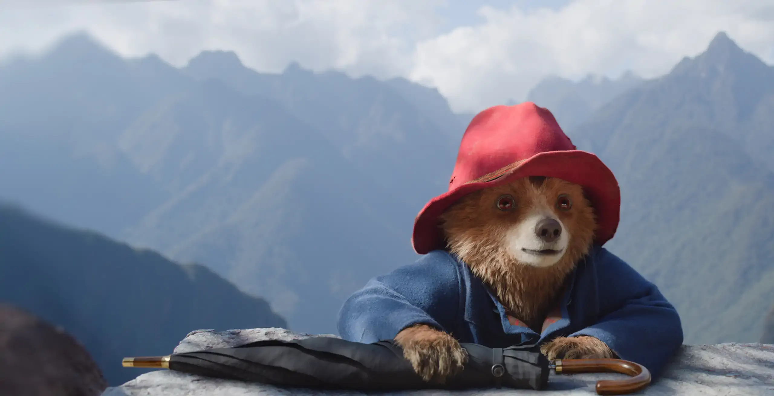 paddington-editorial-hero-2