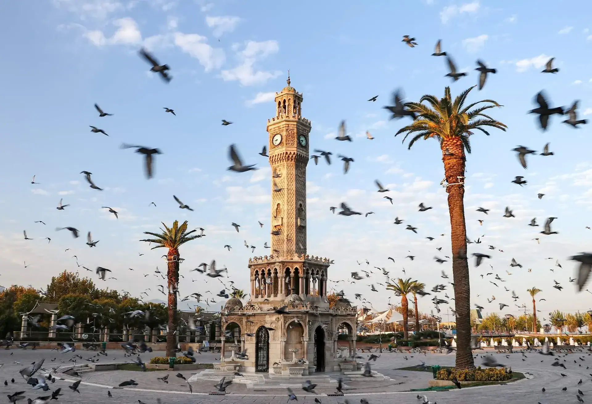 Birds flying around a monument in Izmir