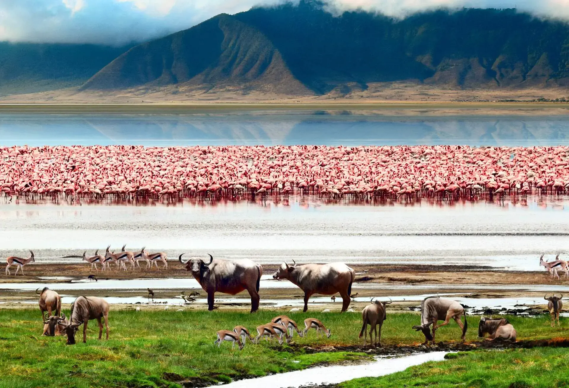 The African wildlife. Beautiful view of Lake in Ngorongoro Crater, Tanzania. 