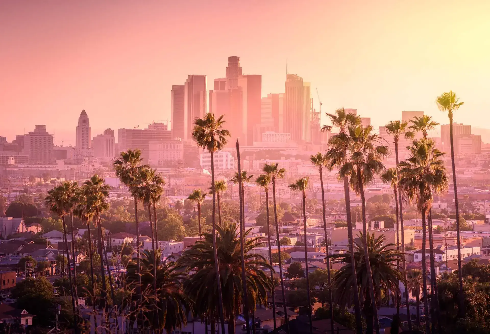 Beautiful sunset of Los Angeles downtown skyline and palm trees in foreground 