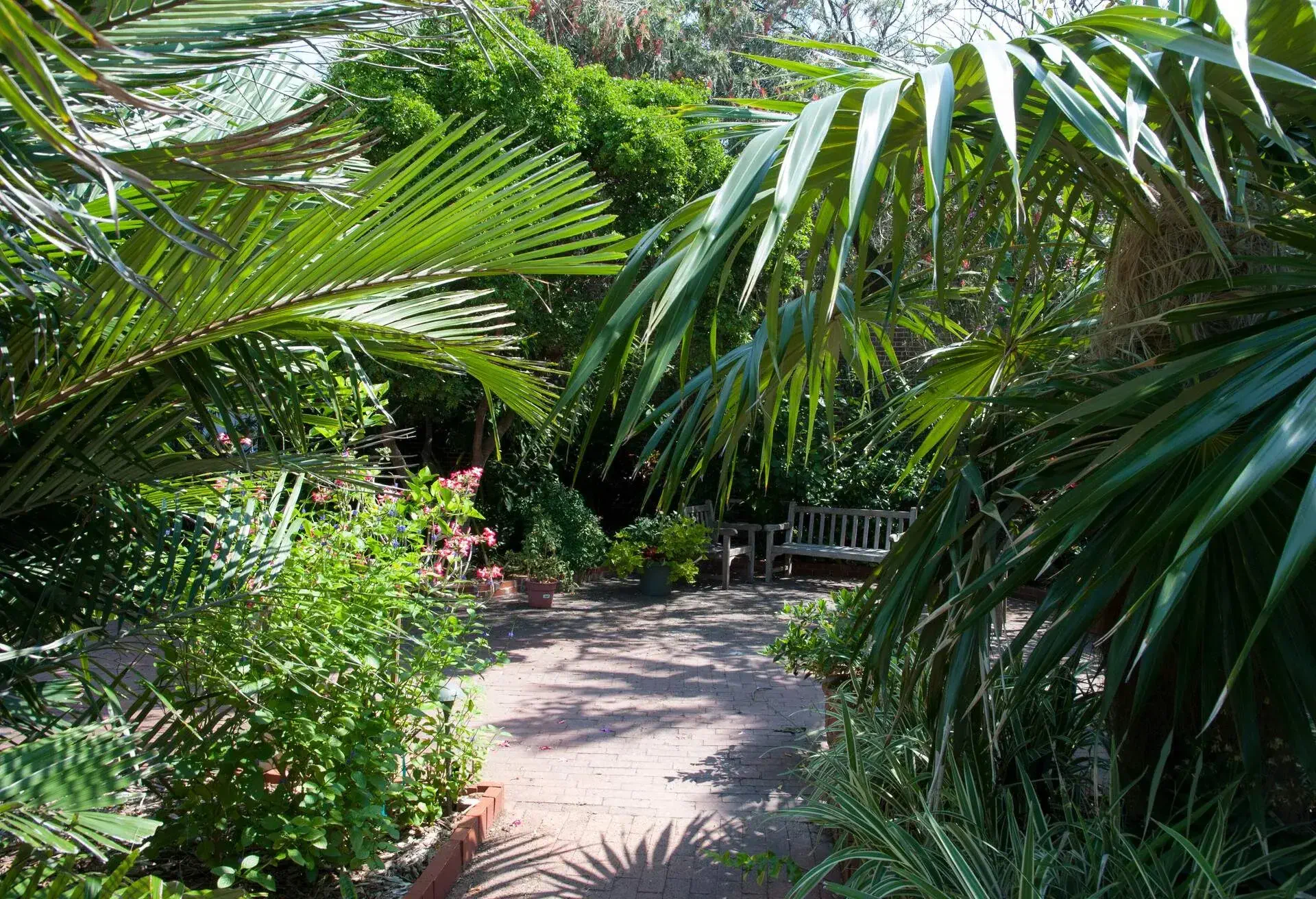 USA_FLORIDA_KEY-WEST_KEY-WEST-TROPICAL-FOREST-AND-BOTANICAL-GARDEN