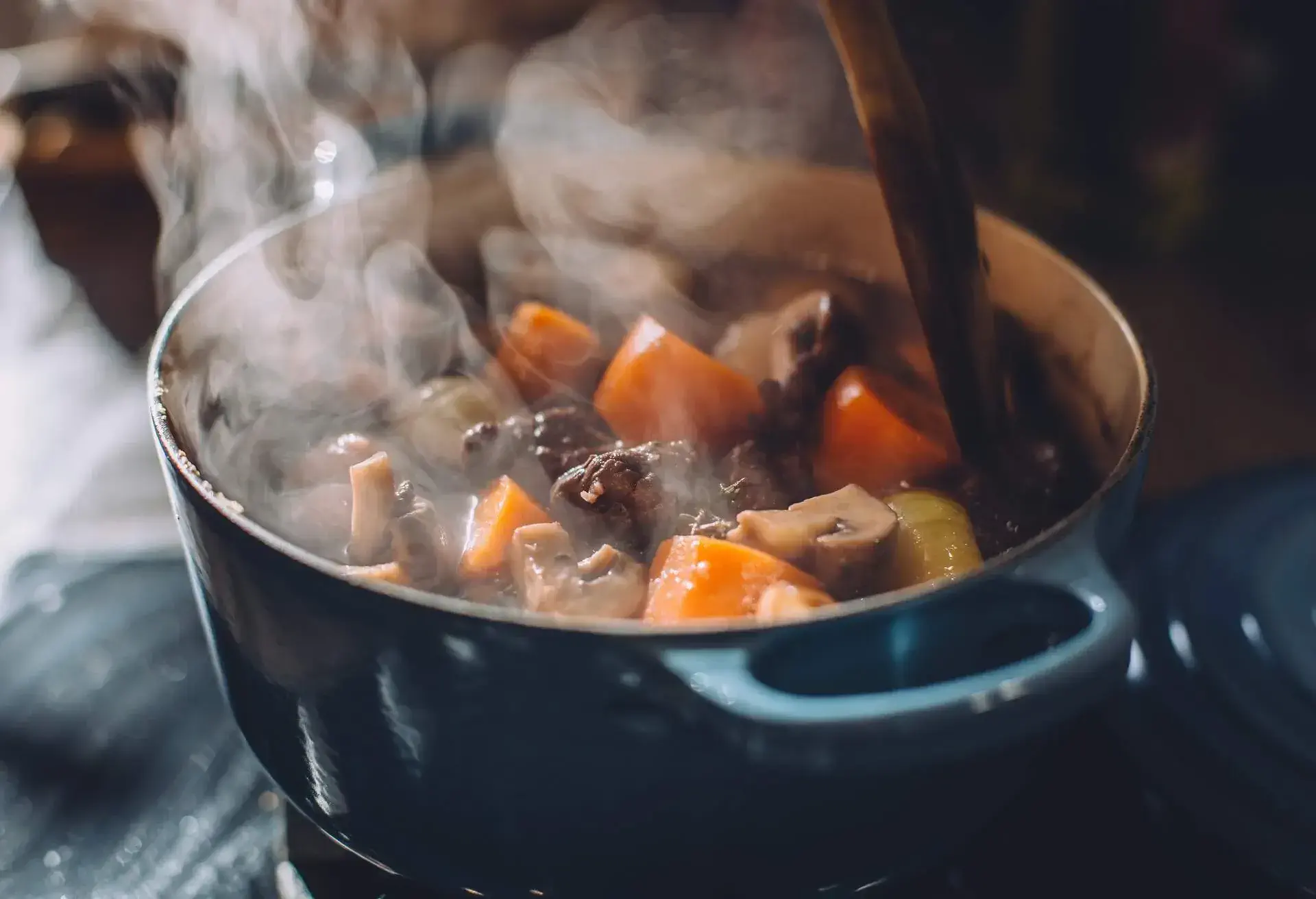 STEAMING_STEW_IRON_POT