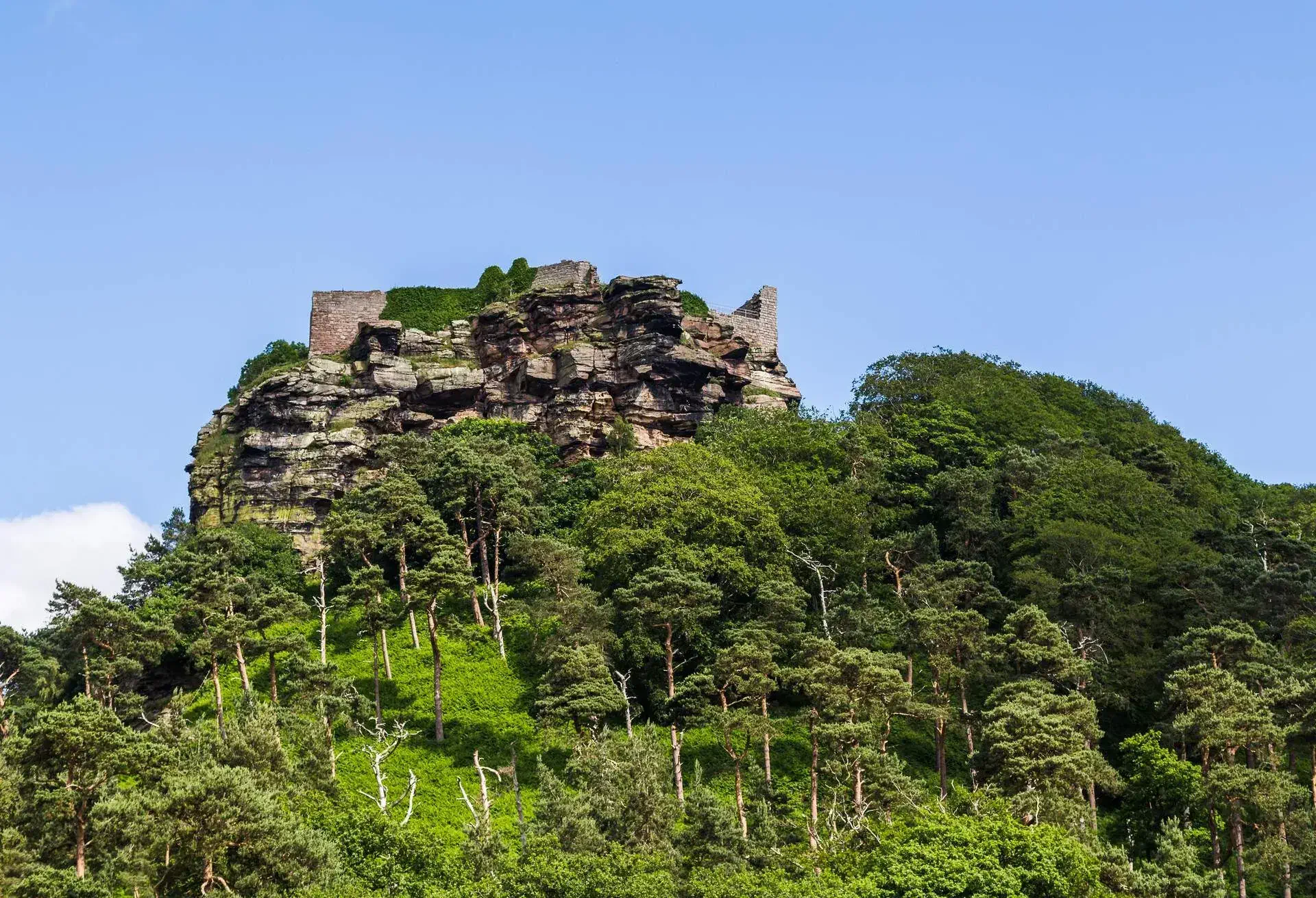 A castle on top of a rock surrounded by trees