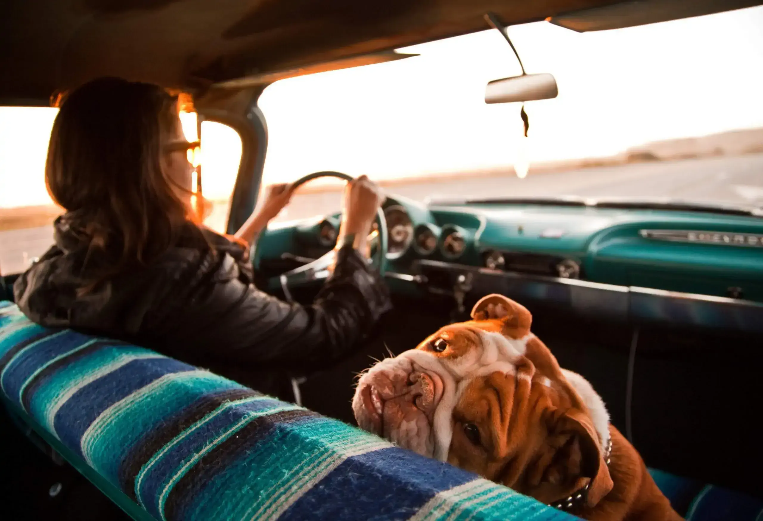 A woman driving a vintage car with a dog on the passenger seat.