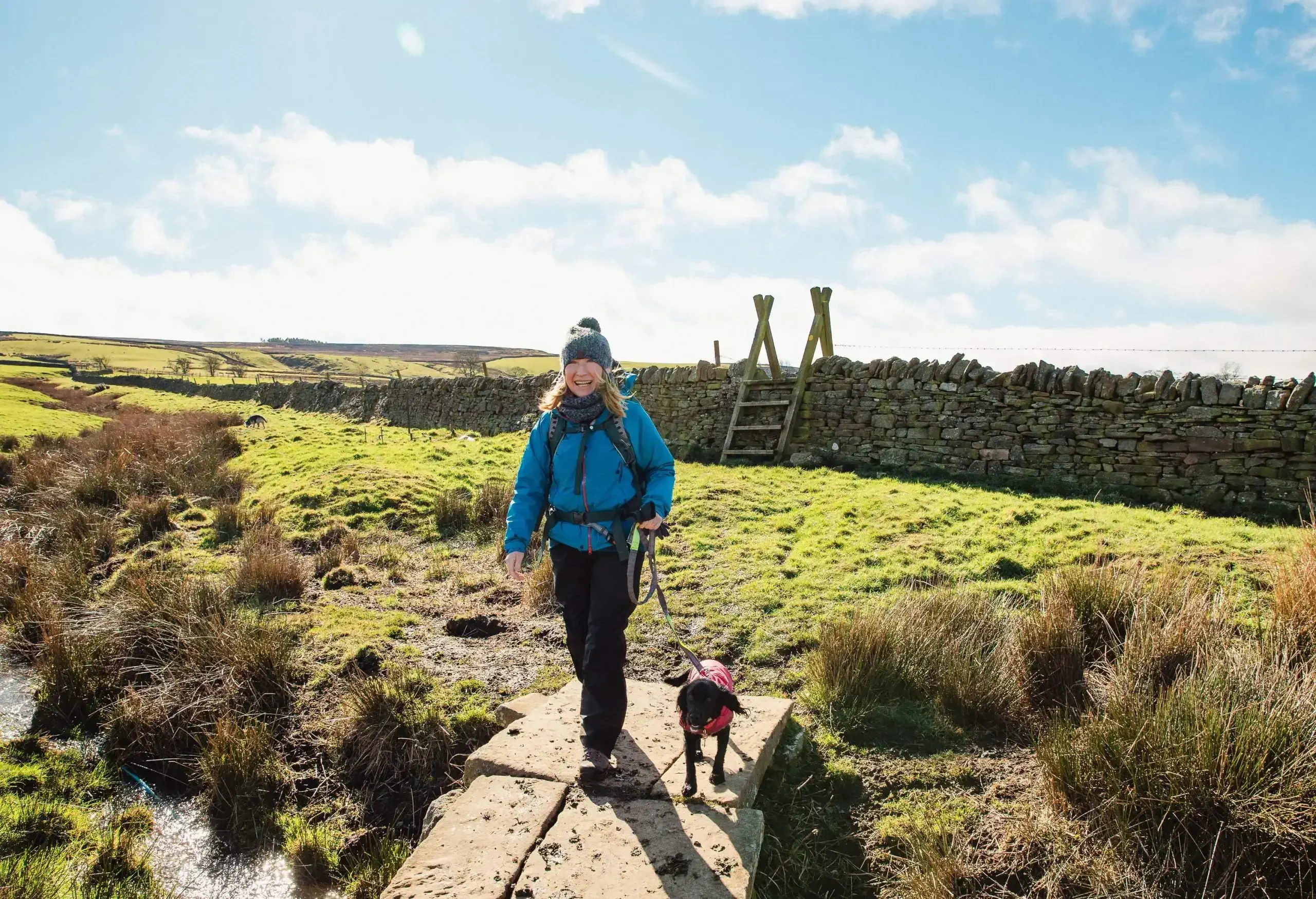 One mature woman and her dog are crossing a footbridge over a stream in the countryside.