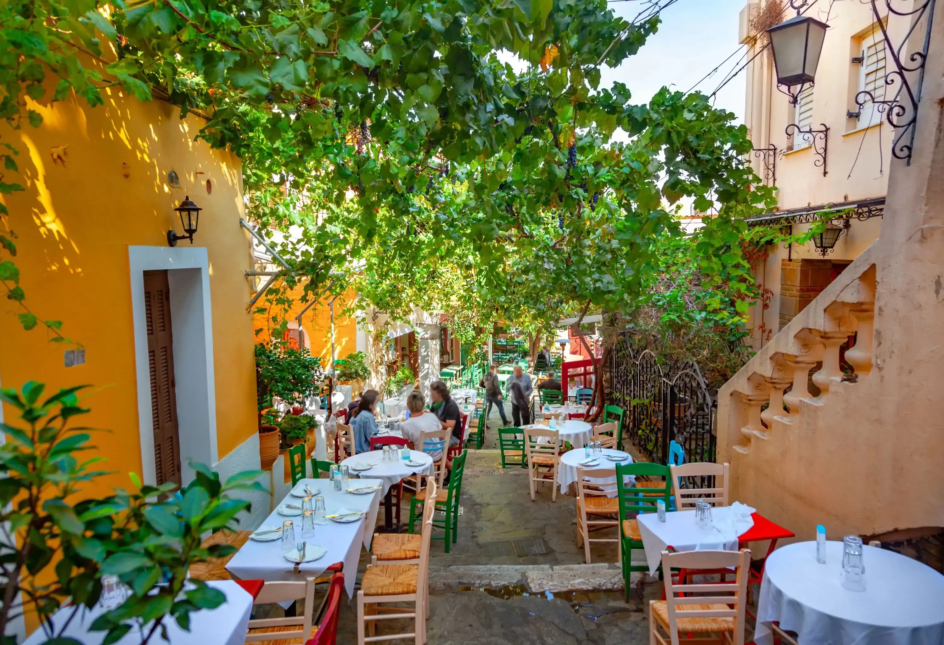An outdoor cafe with tables and chairs under a canopy of grapevines.