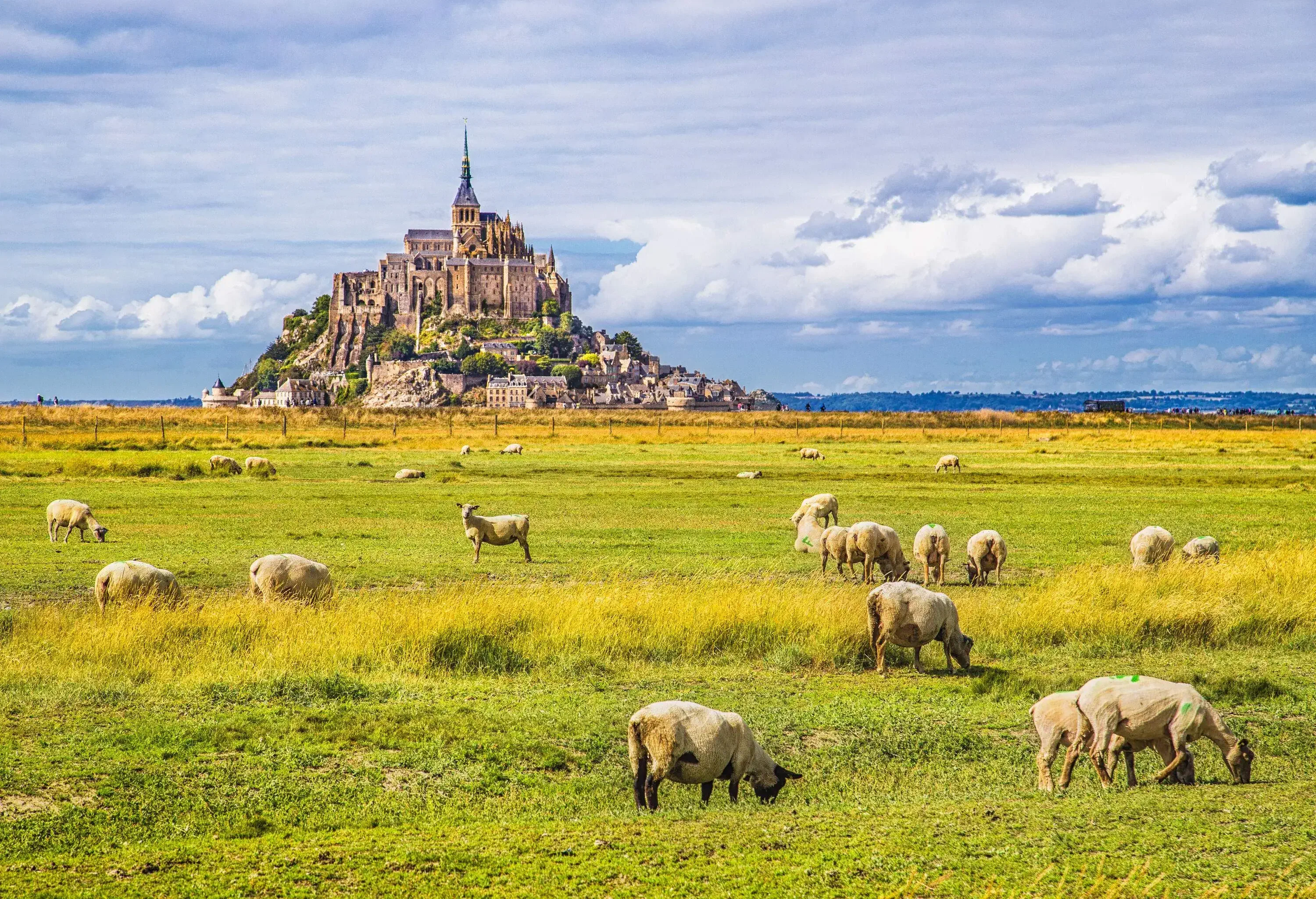 A town with a tall spire perched on an island's hill as seen from a green pasture with grazing sheep.
