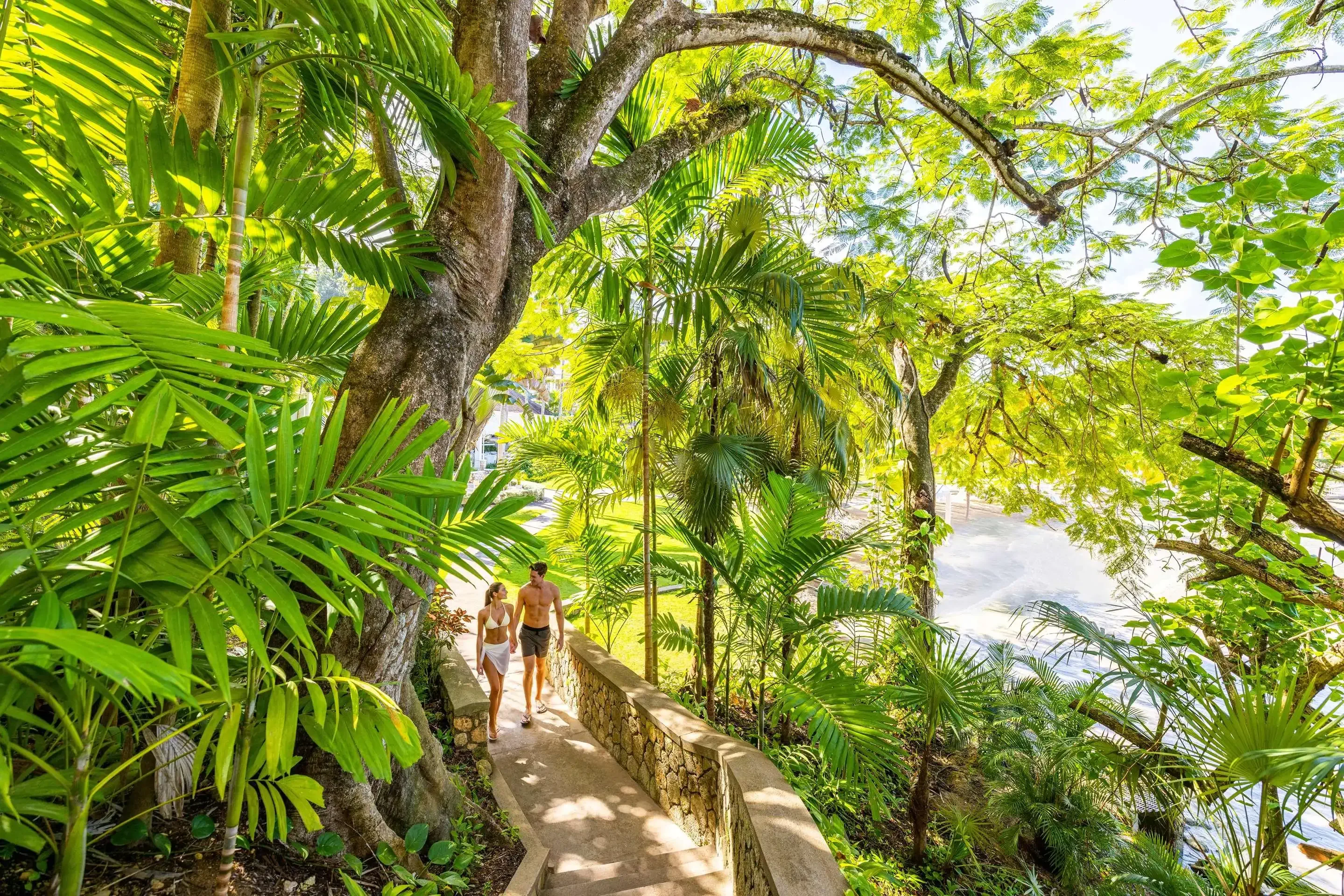 A man and woman walk down a stone path surrounded by lush green trees and plants, with a glimpse of the ocean on the right.