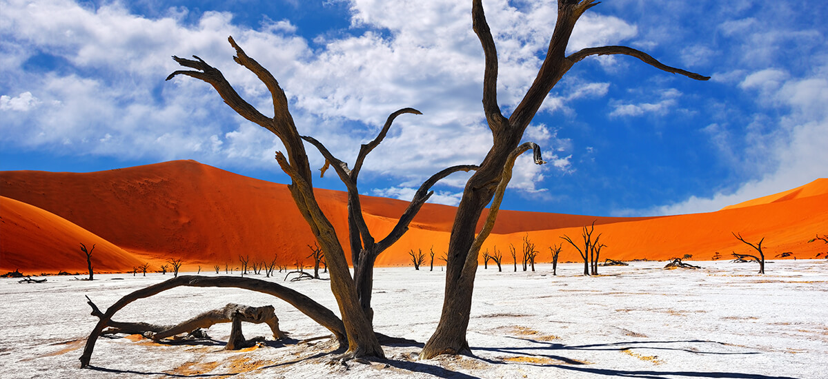 Oleg Znamenskiy/Shutterstock.com | Namibia