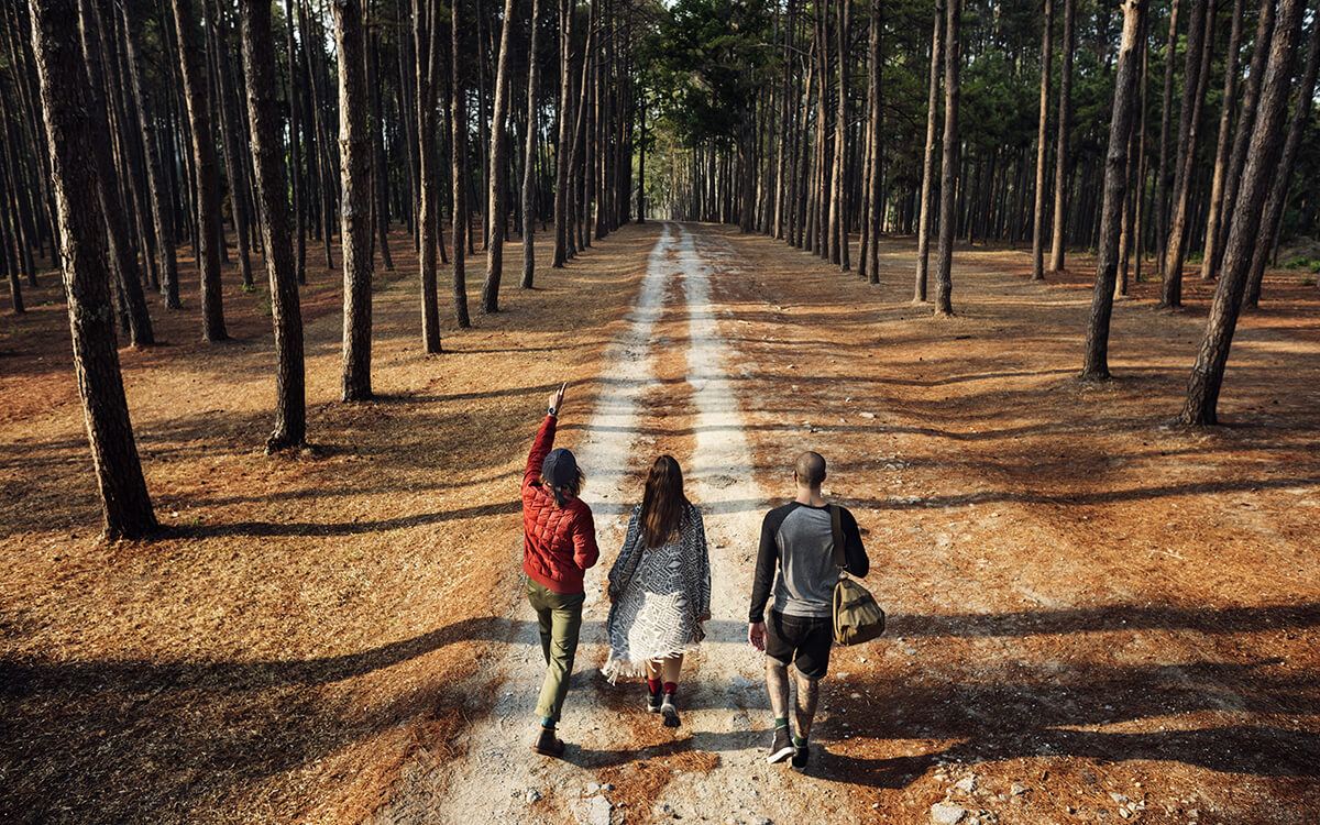 people walking through the woods