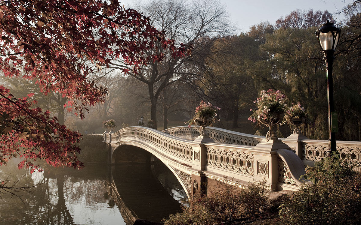 Bow Bridge Romantic Proposal