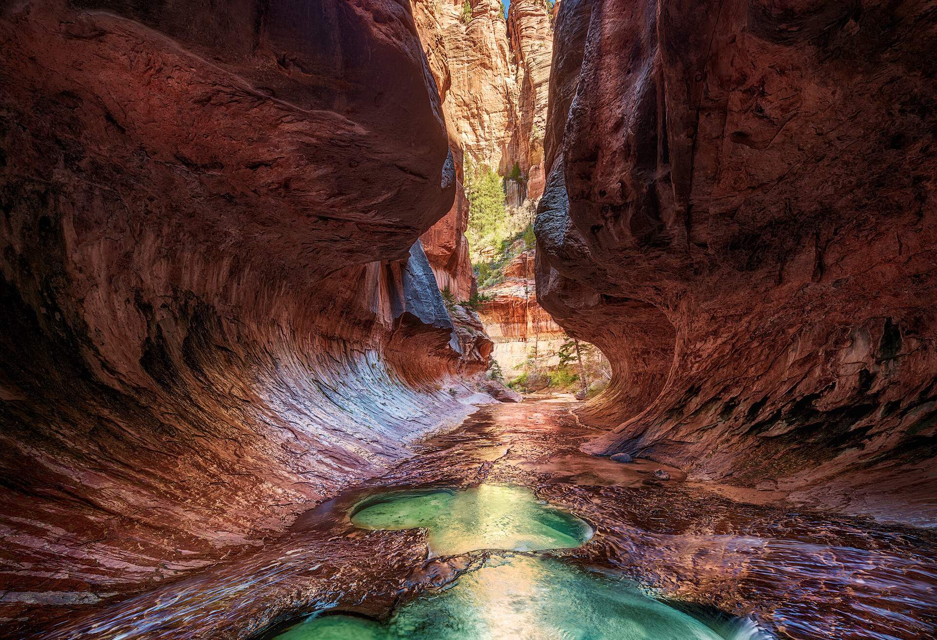 Vivid color in a tight canyon with stream running through. The Subway, Left fork of North Creek , Zion Natioanl Park, Utah. The Subway is a colloquial name for a uniquely shaped slot canyon in Zion National Park. It is located between two peaks called the North and South Guardian Angels, deep within the Left Fork of North Creek. It is part of the larger Great West Canyon system, which includes both the Left and Right Forks of North Creek. The Subway is so named for its tube-like, undercut slot canyons. This segment of canyon is less than 0.25 miles (0.40 km) in length, but long approach and exit hikes are necessary for access.