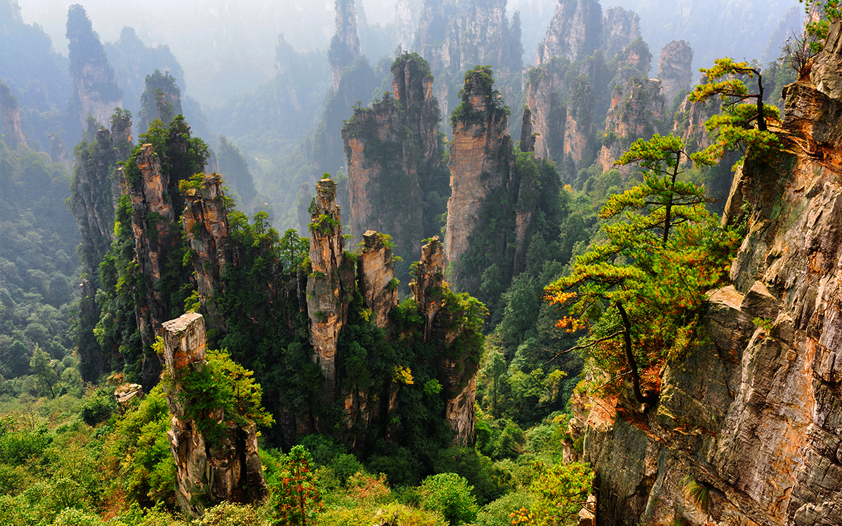 Spectacular views of the Avatar Hallelujah Mountain in China