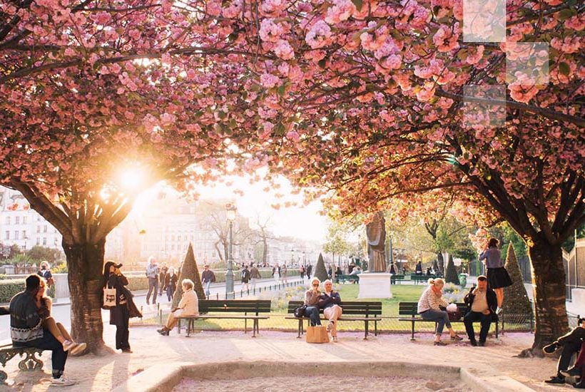 5 cherry blossom festivals only travel pros know about