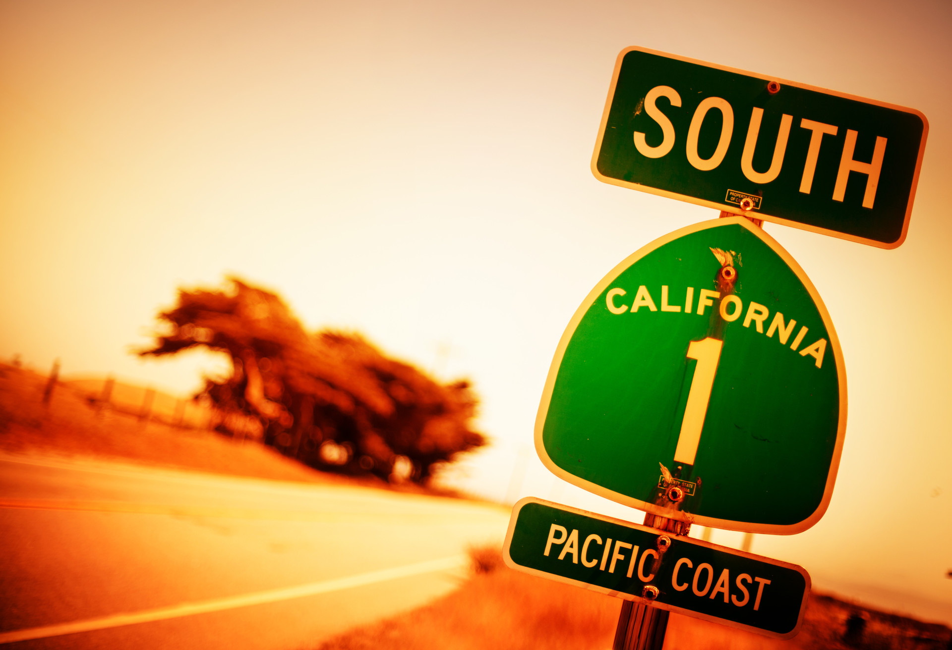 Can you drive out of state?