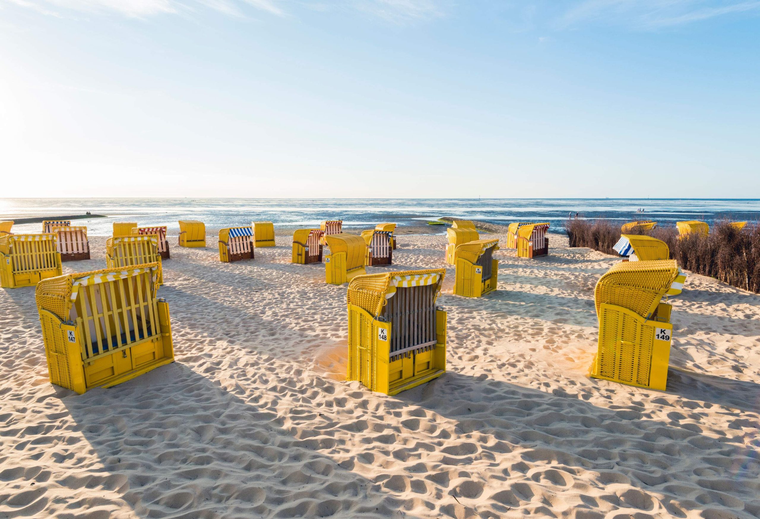 Yellow hooded chairs set on powdery sand of a beach.