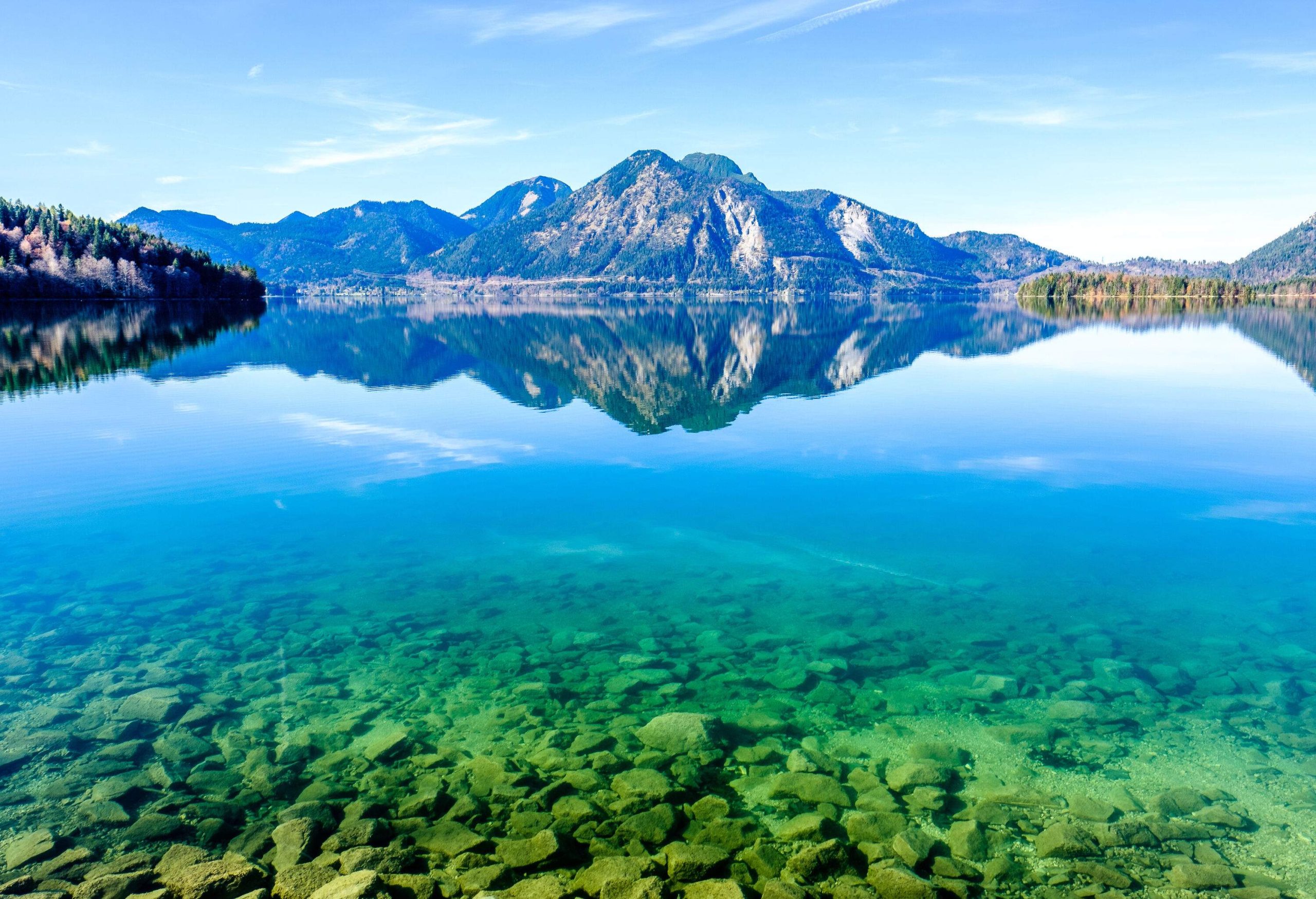 A serene rocky lake reflects the forested mountain range and the clear blue sky.