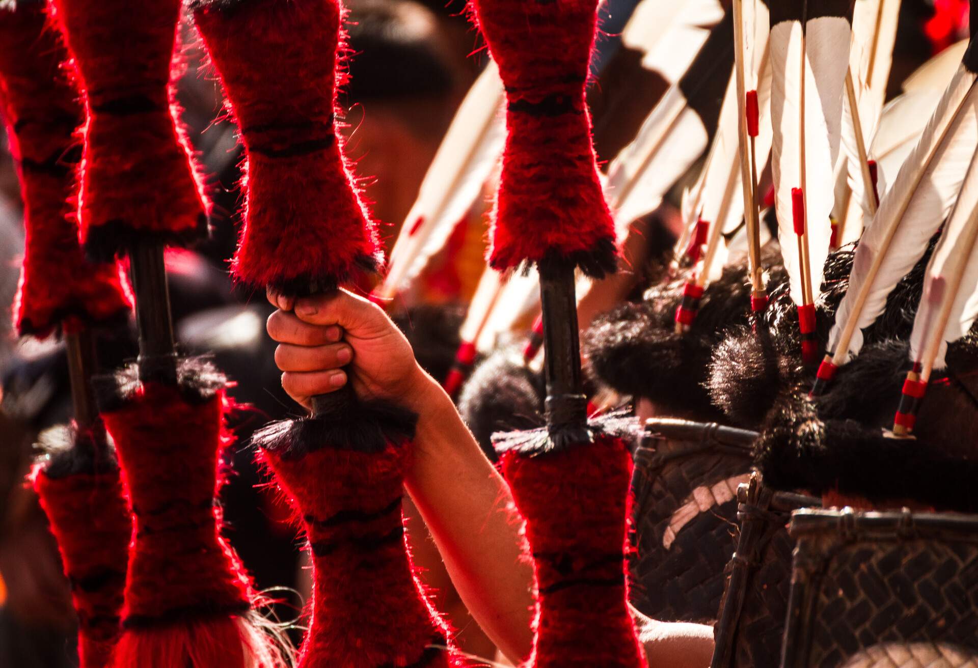 DEST_INDIA_HORNBILL_FESTIVAL_GettyImages-1051384606