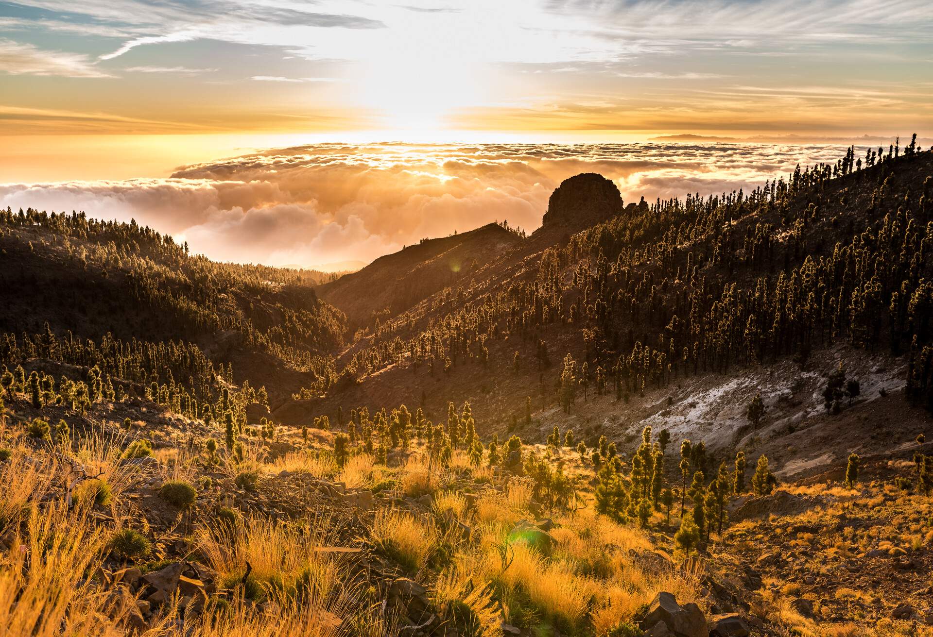 CANAR ISLANDS TENERIFE