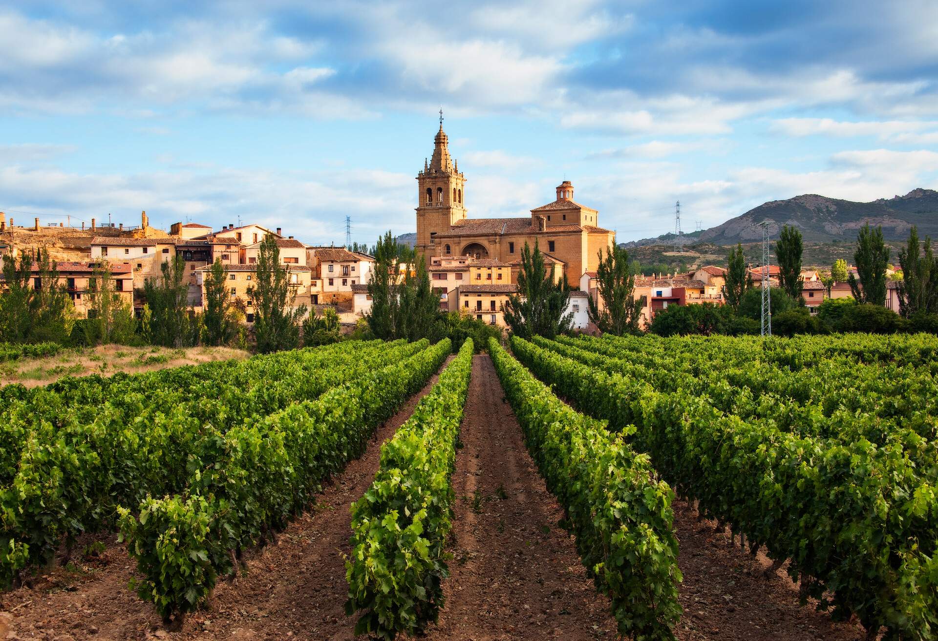 DEST_SPAIN_LA-RIOJA_GettyImages-950777894