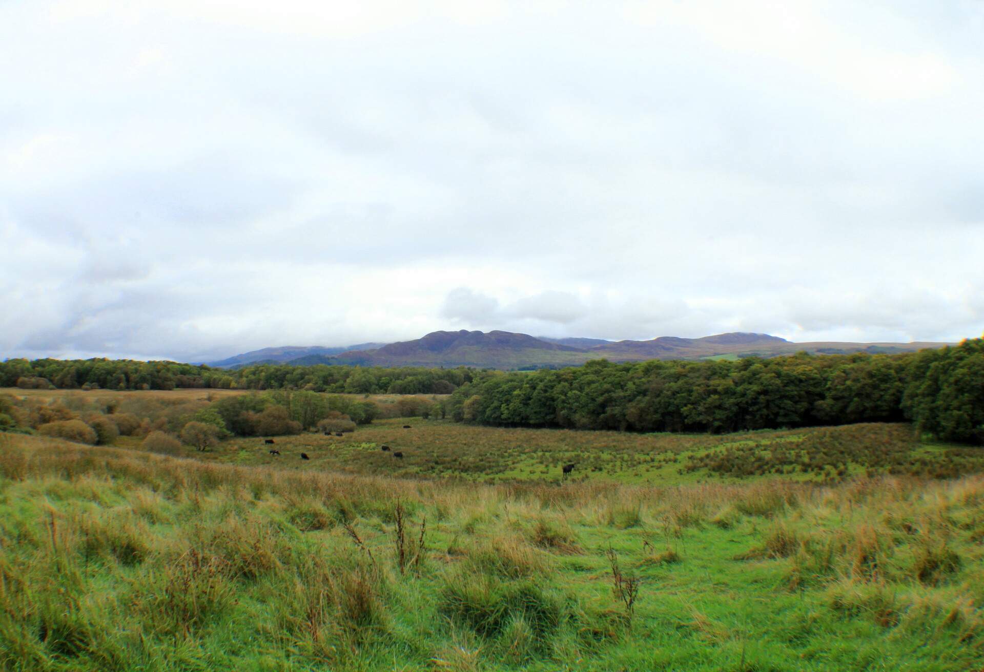 ALEXANDRIA LOCH LOMOND