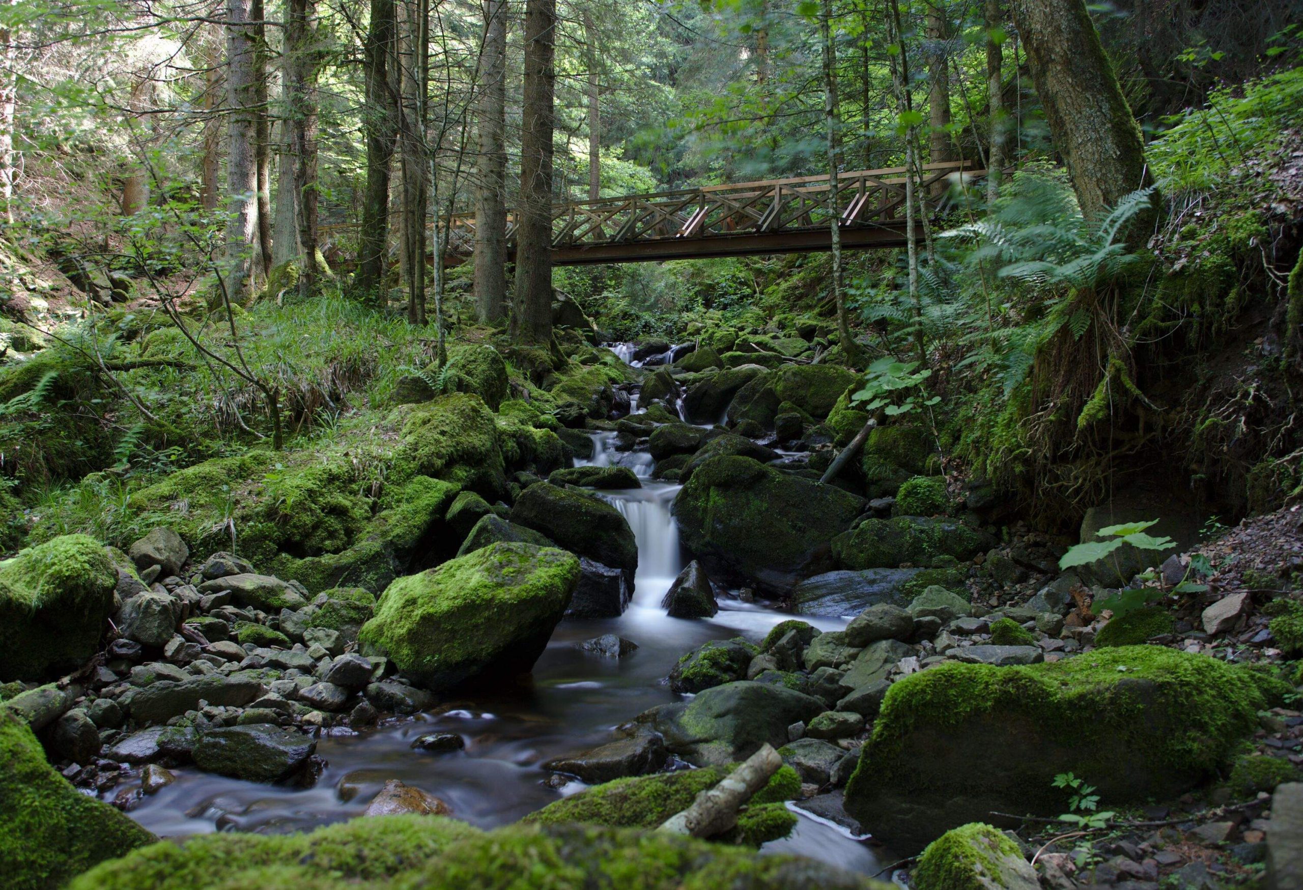 best places to visit germany summer