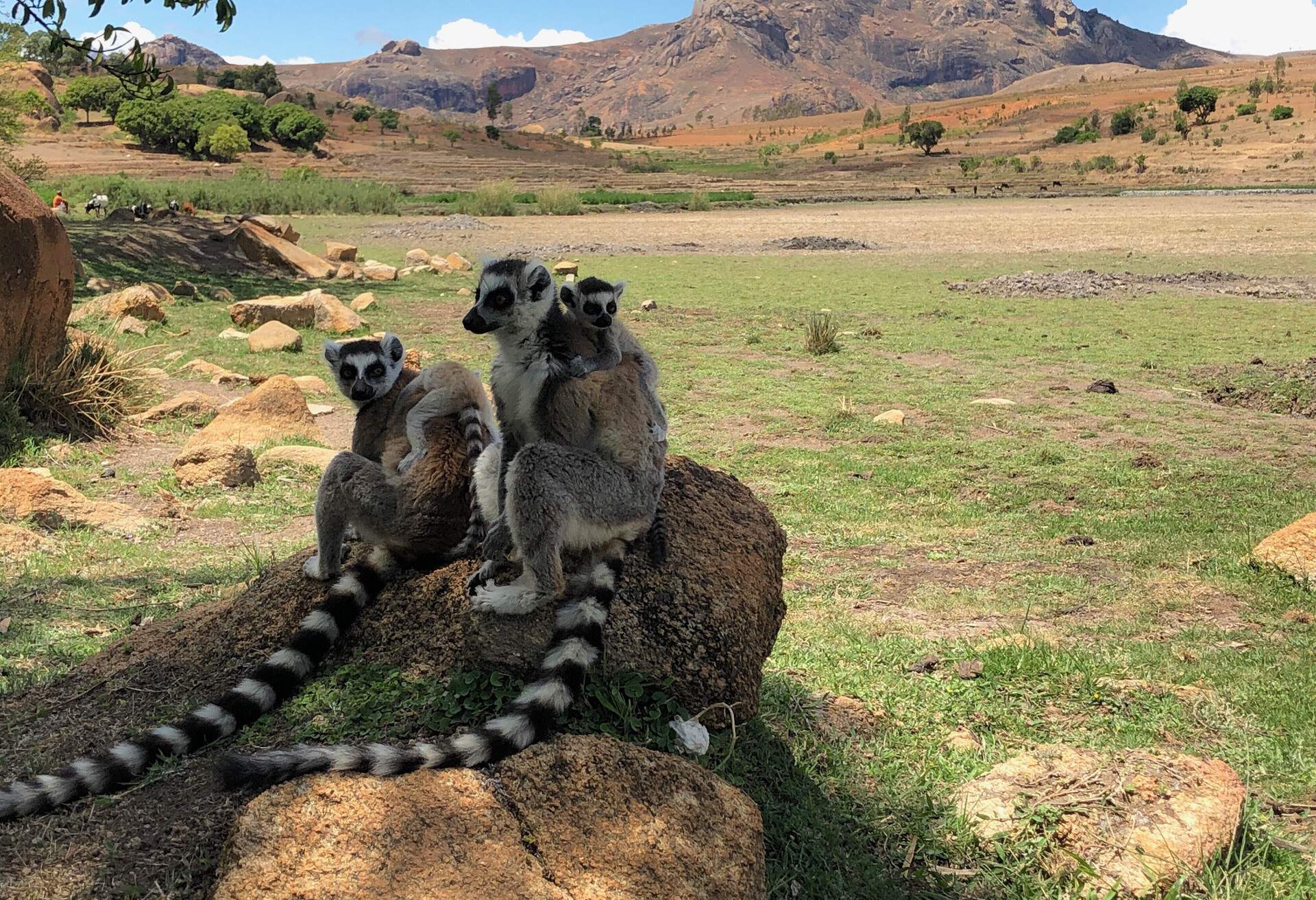 dest_madagascar_antananarivo_gettyimages-1403787732_universal_within-usage-period_97935