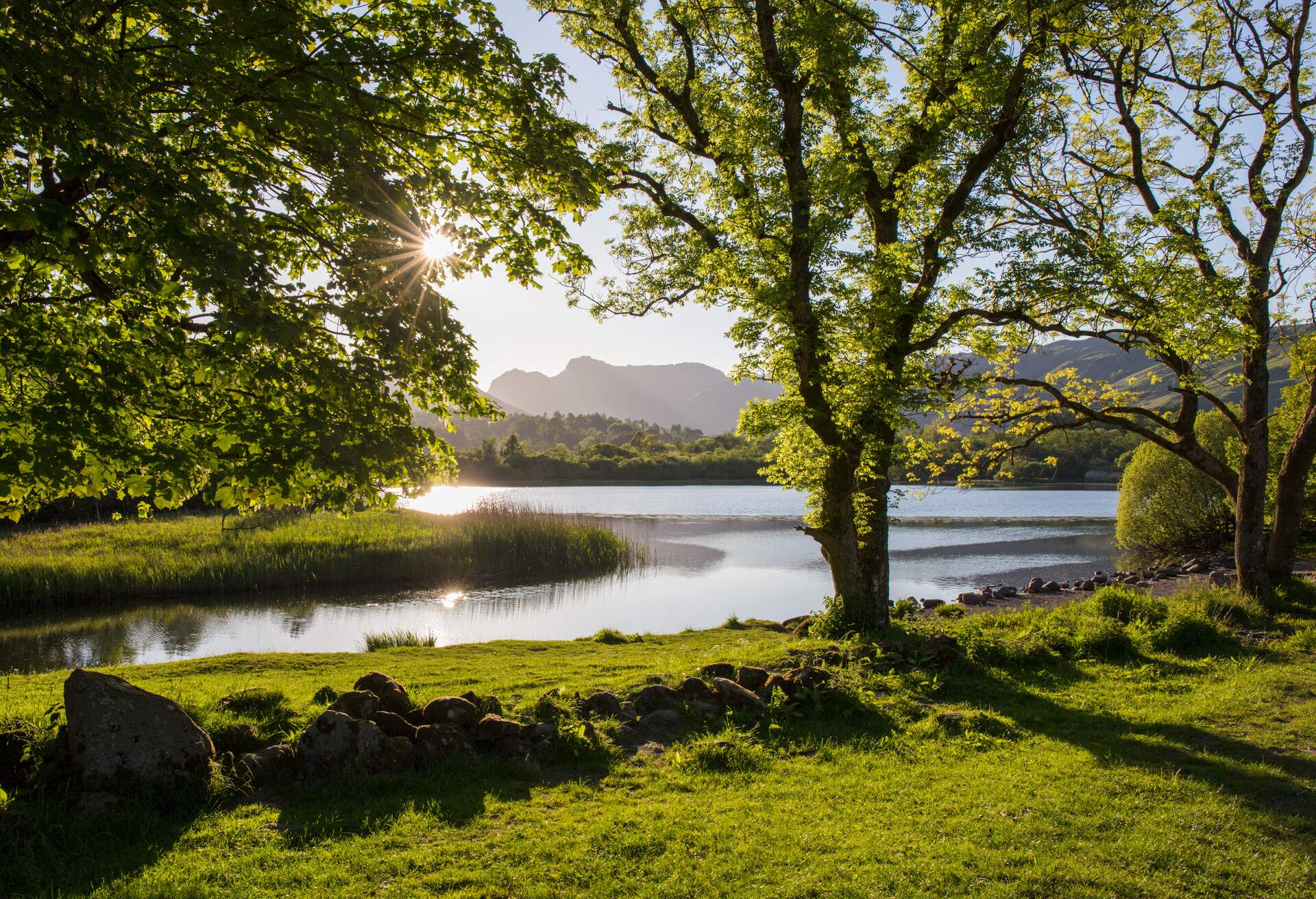 View across Elter Water to the Langdale Pikes, sun shining through trees, Elterwater, near Ambleside, Lake District National Park, Cumbria, England, UK, Europe. Famed for the beauty of its lakes and mountains, the Lake District is a popular holiday destination in northwest England. Lying entirely within the county of Cumbria, it became the UK's second National Park in 1951 and was designated a UNESCO World Heritage Site in 2017.