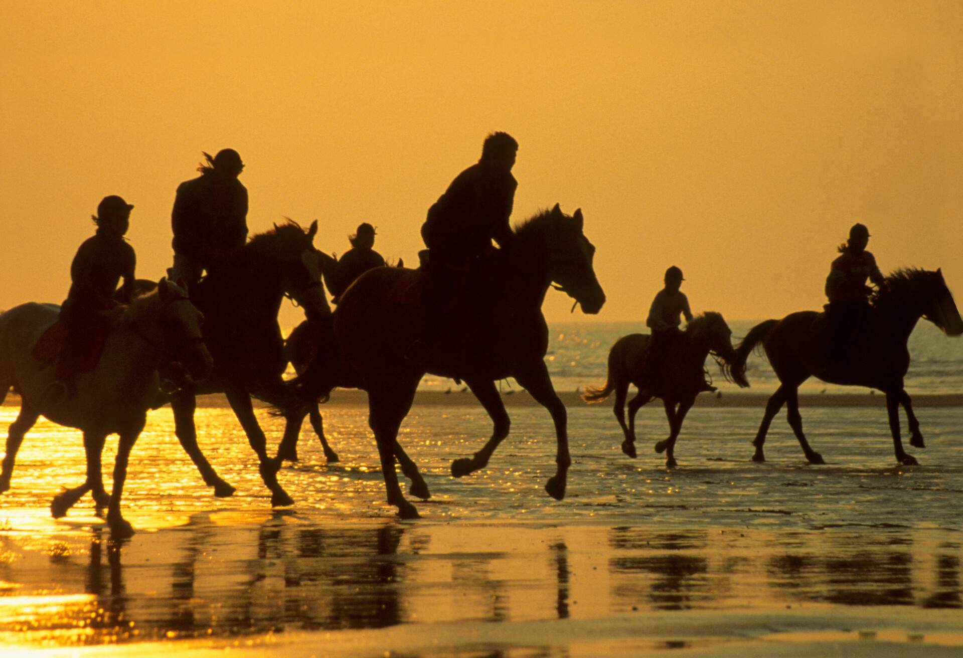 FRANCE_DEAUVILLE-BEACH_THEME_HORSES_RIDING_PEOPLE-GettyImages-549820955