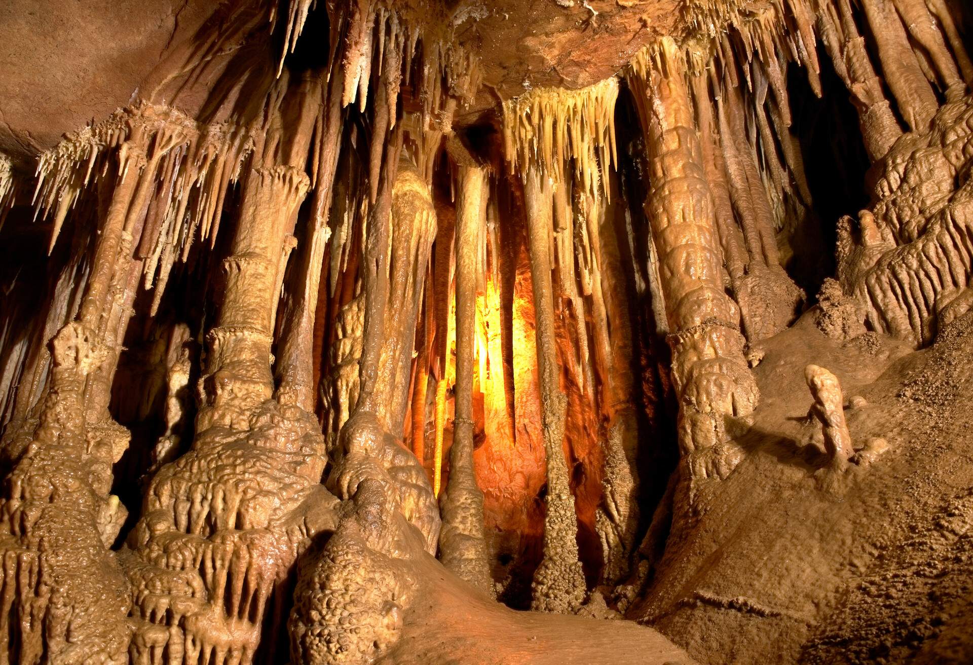 NEW-ZEALAND_WAITOMO_ARANUI-CAVES_GettyImages-963323776