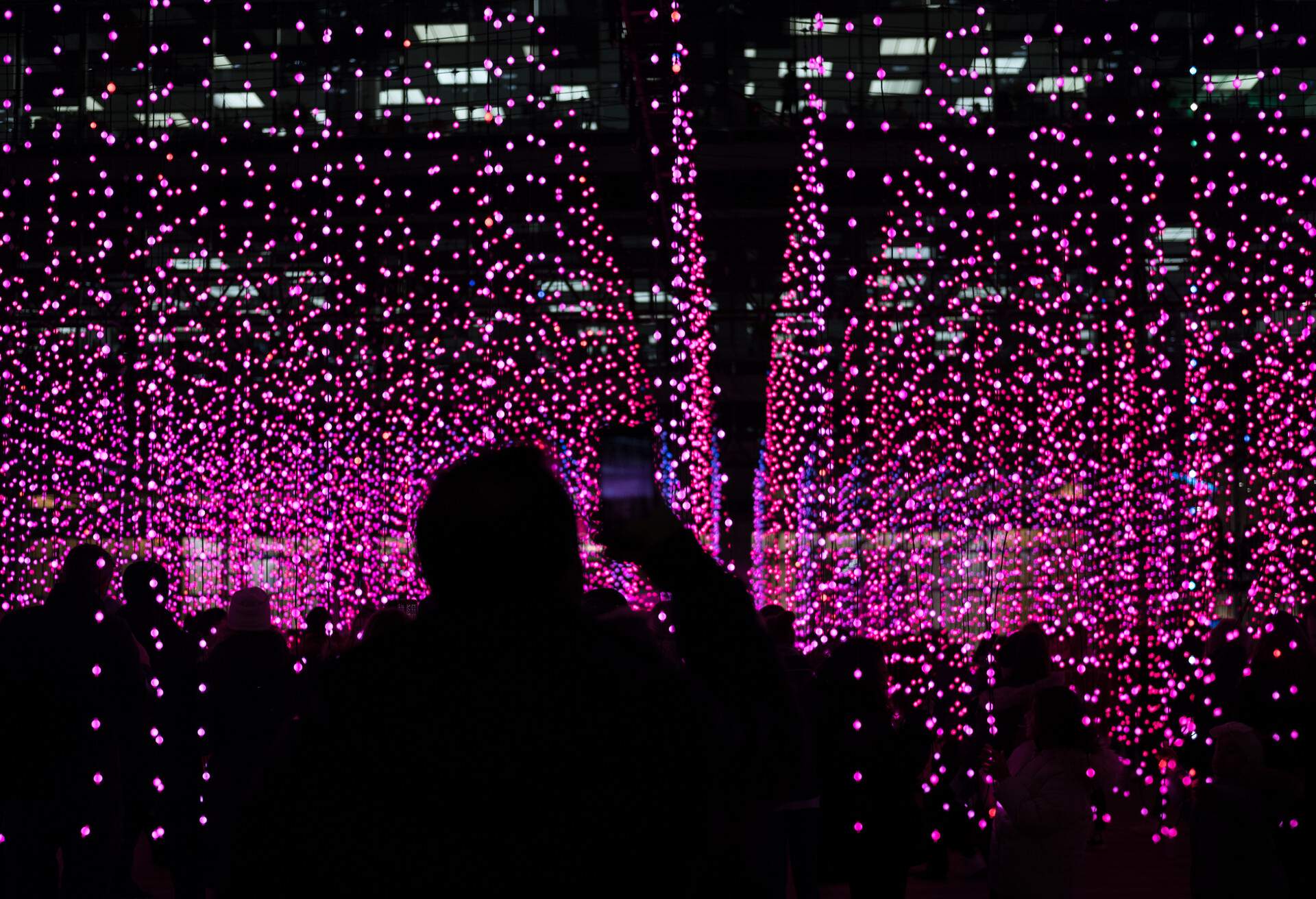 THEME_LIGHT_ART_INSTALLATION_NIGHTLIFE_MUSEUM_GALLERY_GettyImages-1145593620