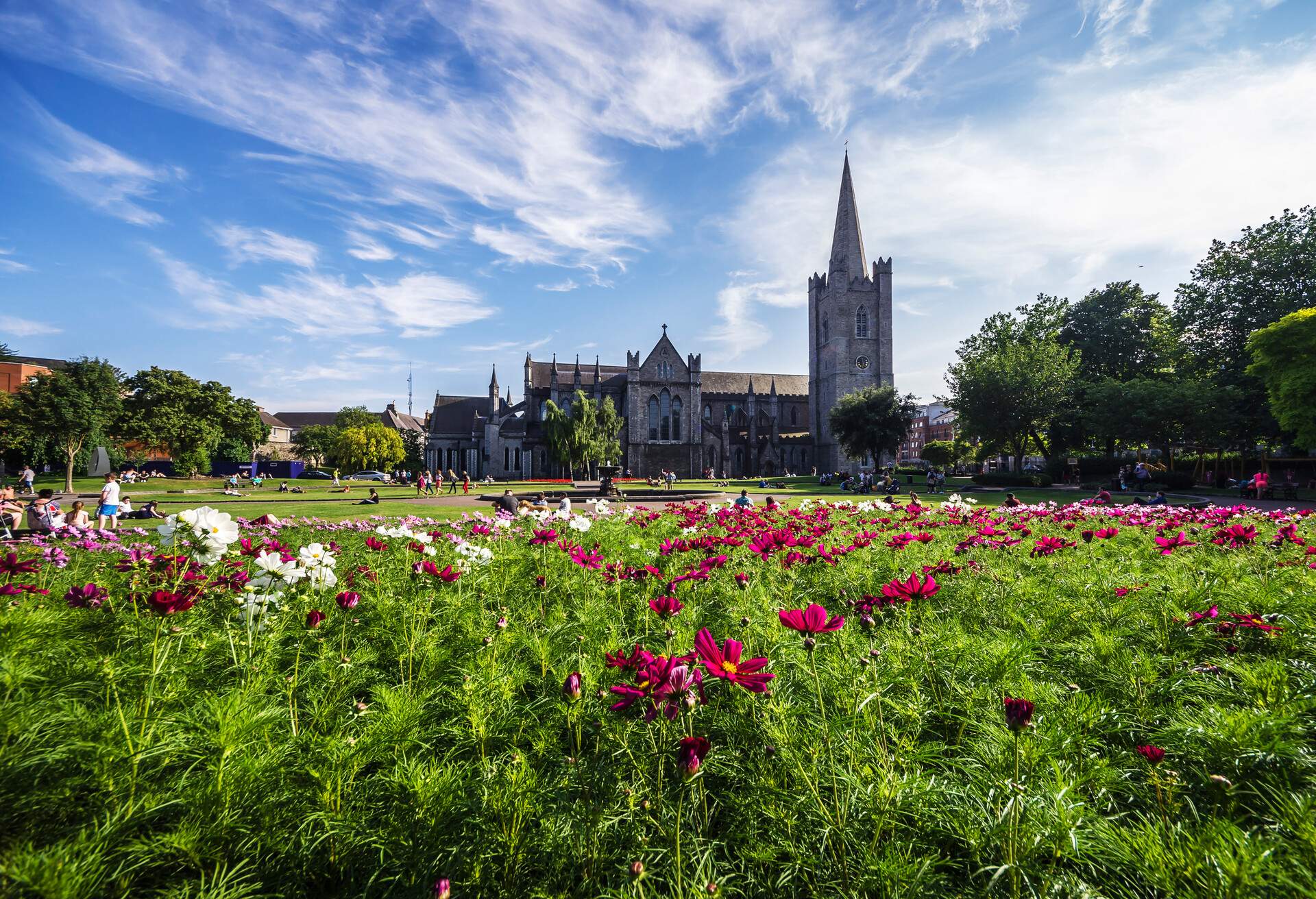 The cathedral of St Patrick in Dublin on a sunny summer day with pink flowers in the front
