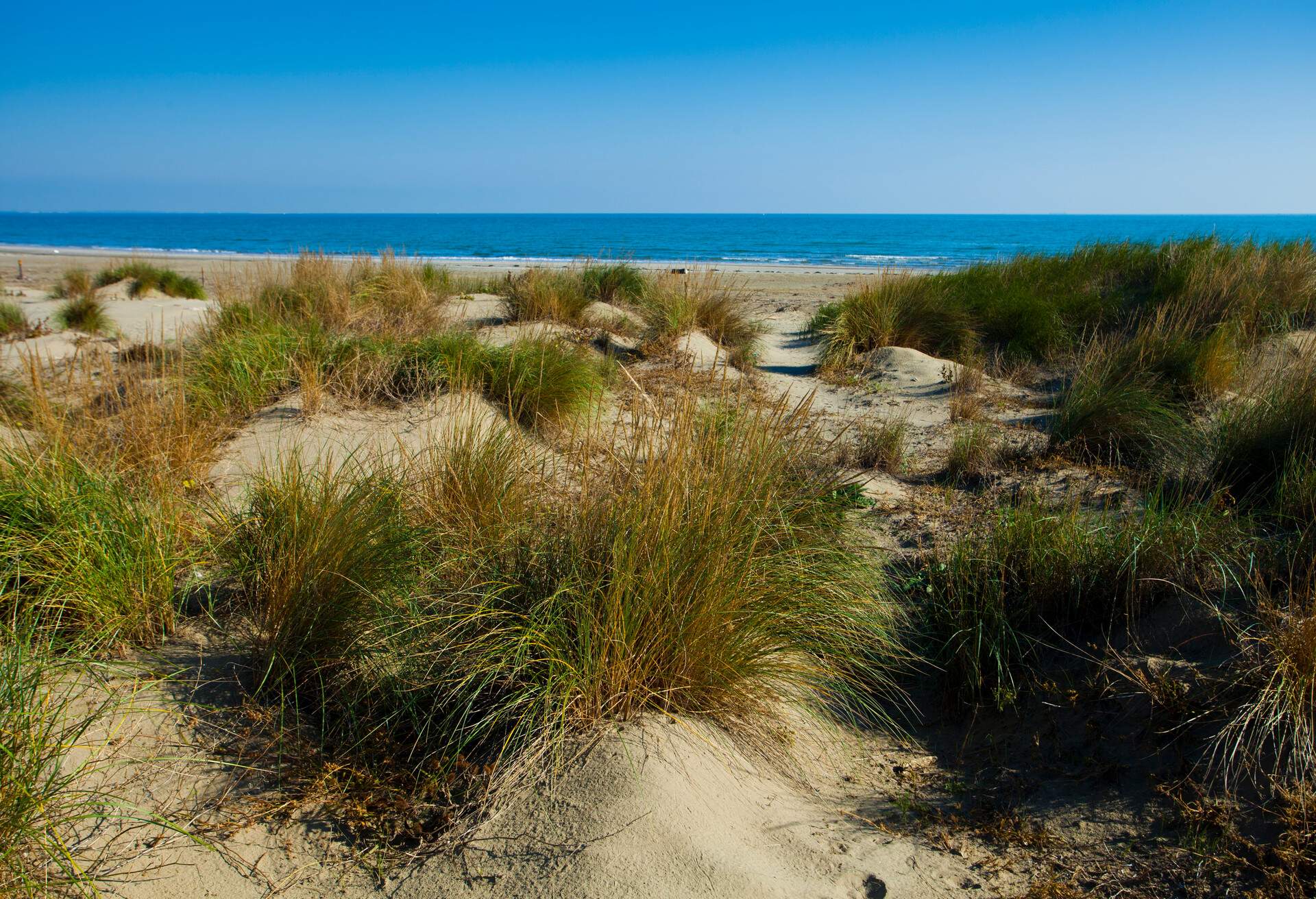 DEST_ITALY_ALBERONI-BEACH_GettyImages-465005493