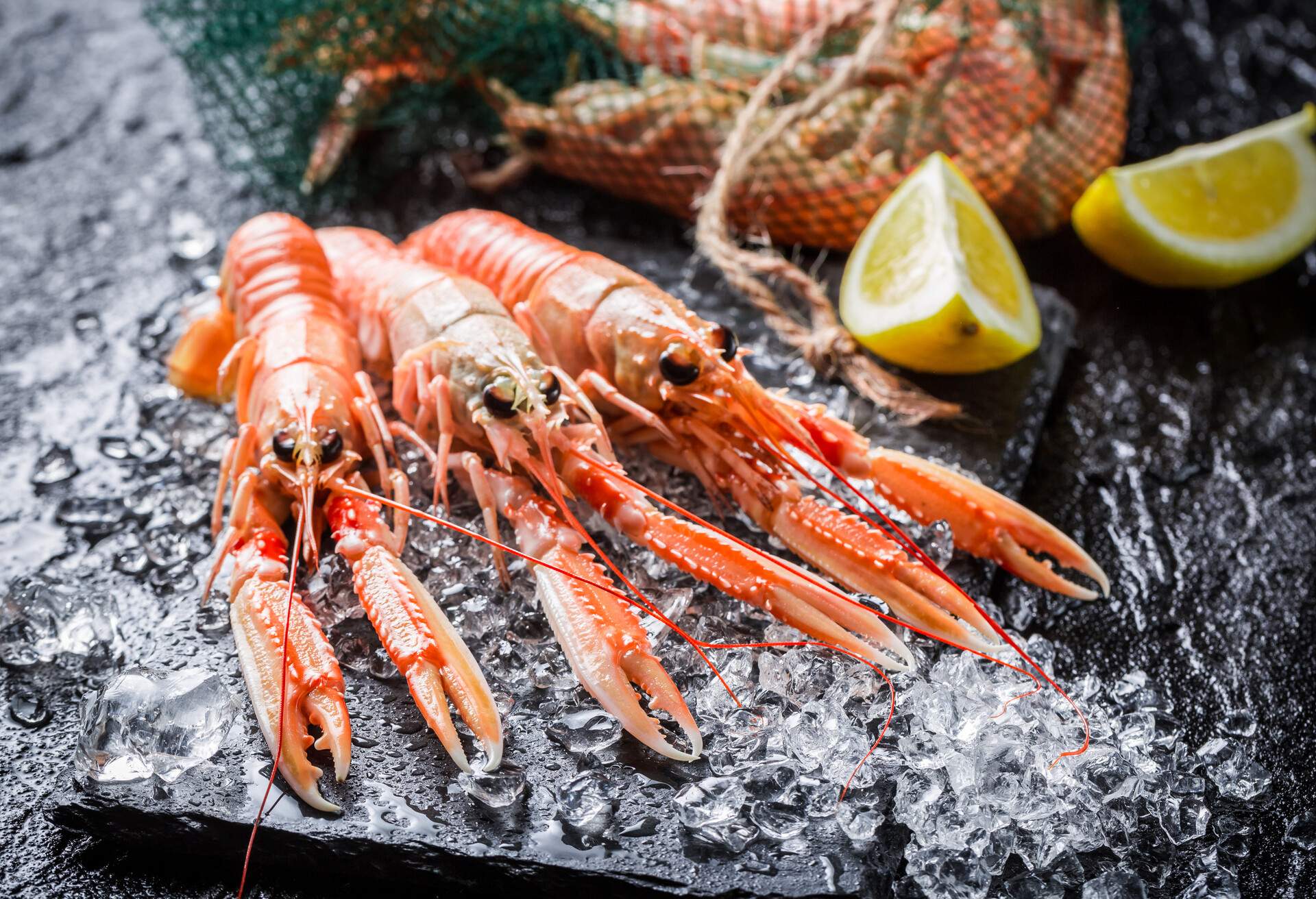 THEME_FOOD_SEAFOOD_LANGOUSTINES_GettyImages-545569850