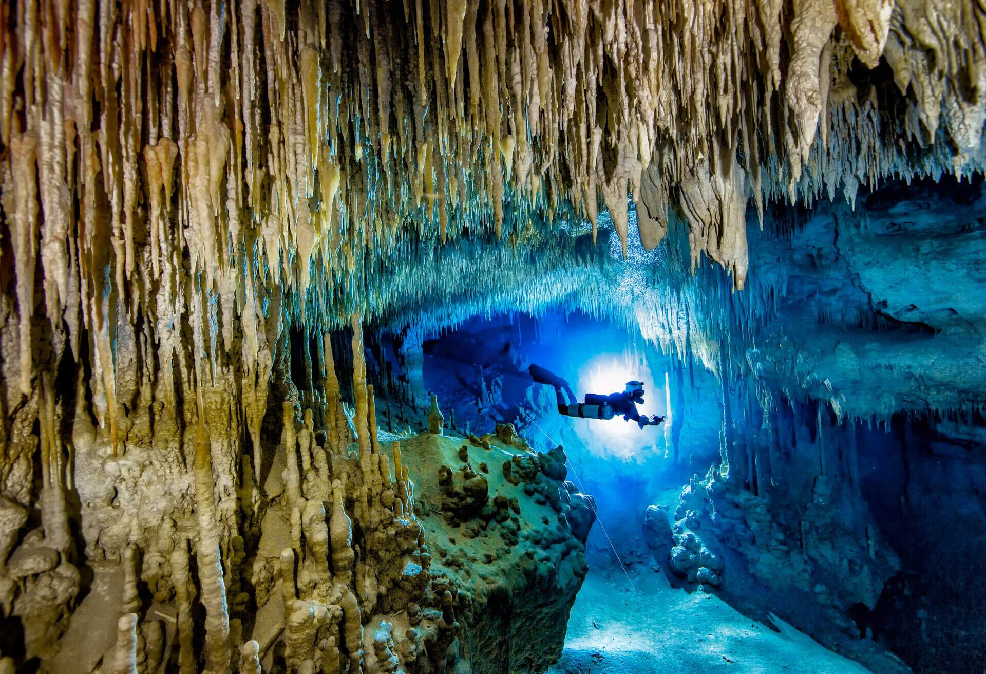 Diving in Mexico Eight Destinations that will Amaze You KAYAK