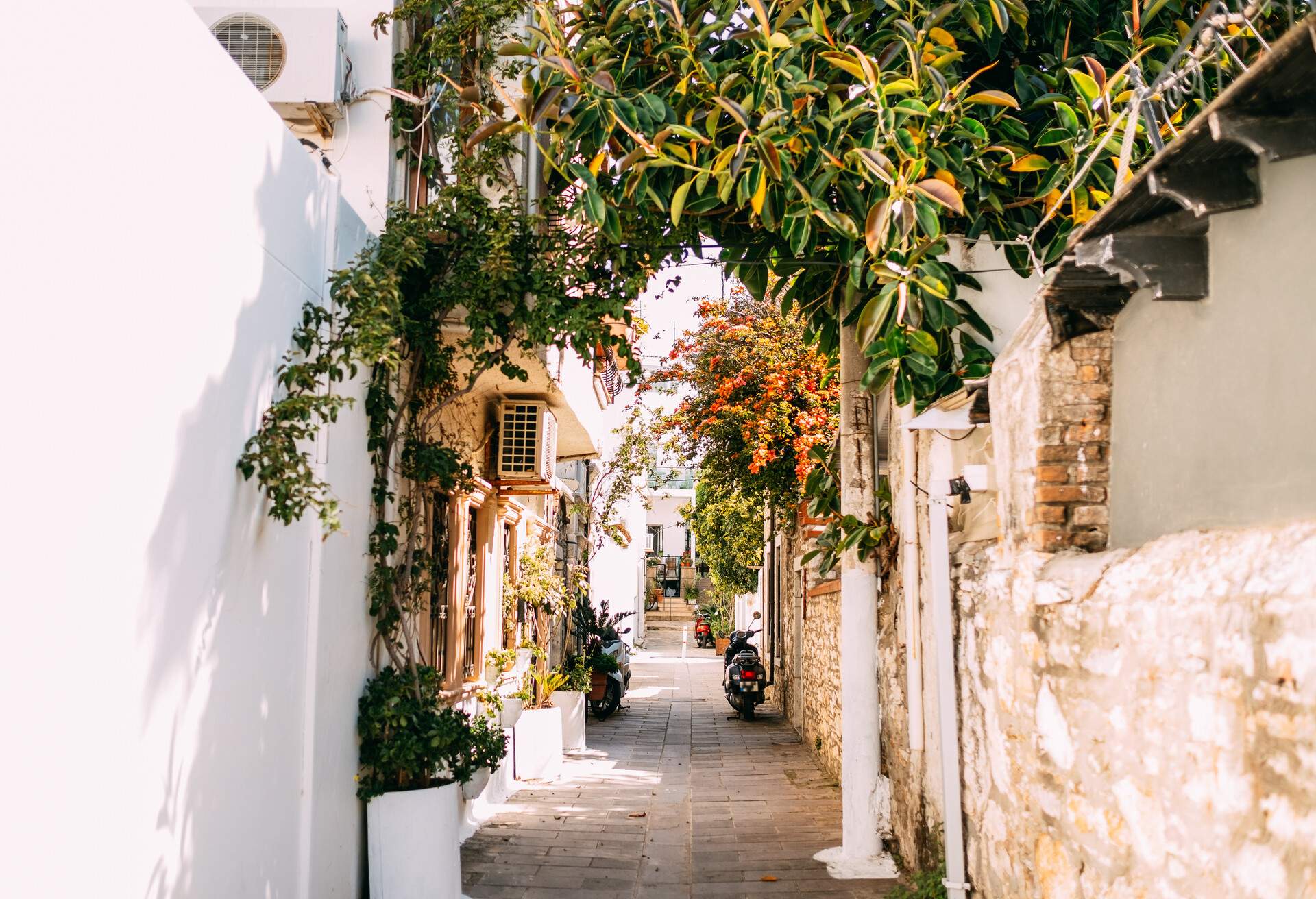 Narrow and Beautiful Street in the Aegean Town