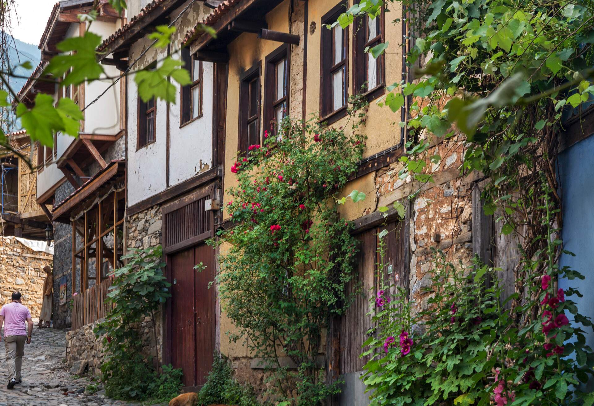 DEST_TURKEY_CUMALIKIZIK_OTTOMAN_HOUSES_GettyImages-170944821-1.jpg